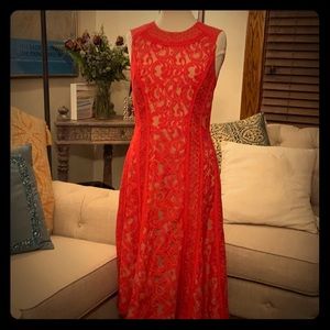 BCBG Romantic Red Lace Midi Dress